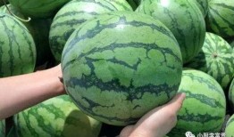 金华最新吃瓜事件爆料是真的吗,真相揭秘还是无端炒作？